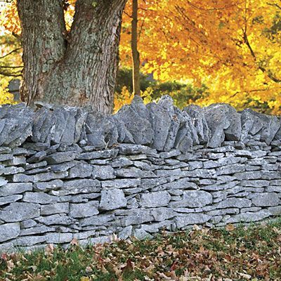 Stone Fences throughout Bourbon Country, Kentucky built by Irish immigrants in 19th century.