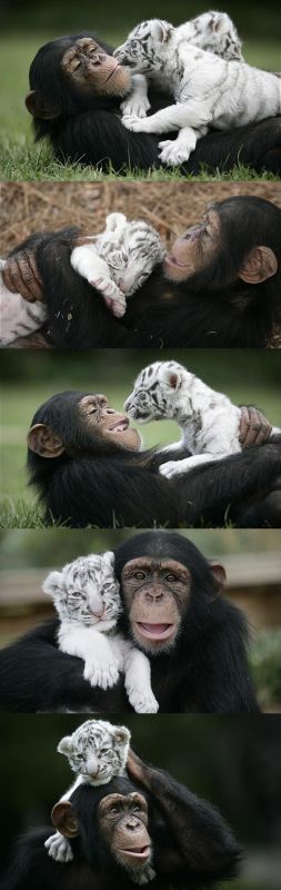 sweetest! the expression in the third photo is incredible!