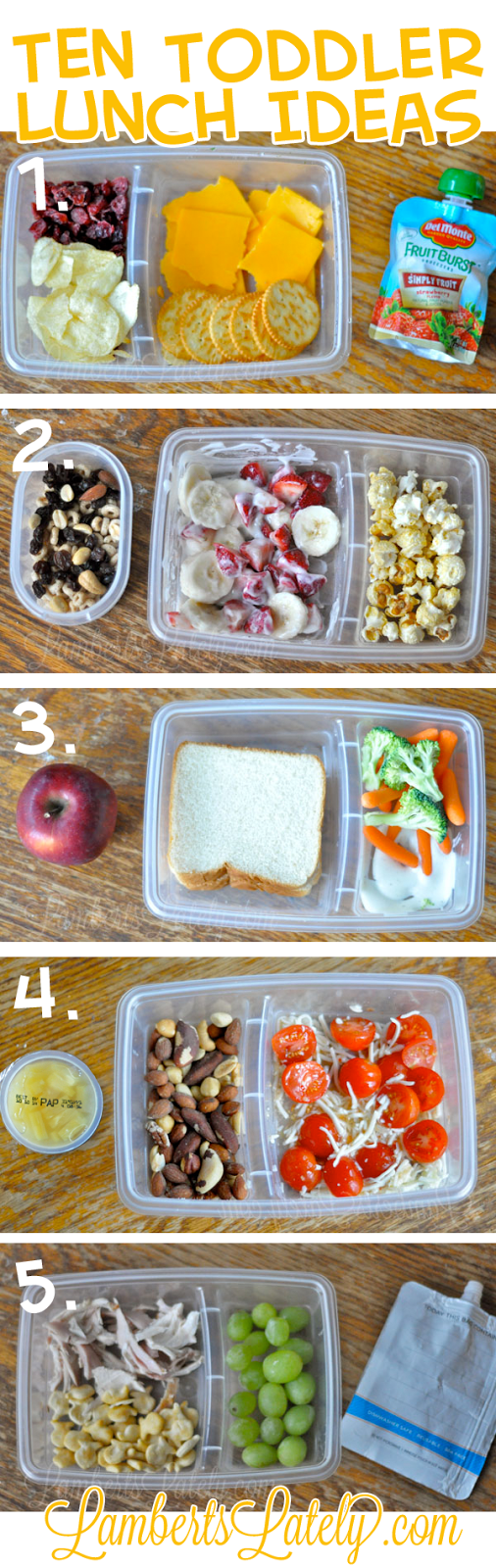 Ten (Quick and Easy) Toddler School Lunch Ideas (Brought to you by Del Monte)