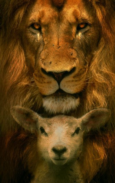 “Then one of the elders said to me, Do not weep! See the Lion of the tribe of Judah, the Root of David, has triumphed. He is able