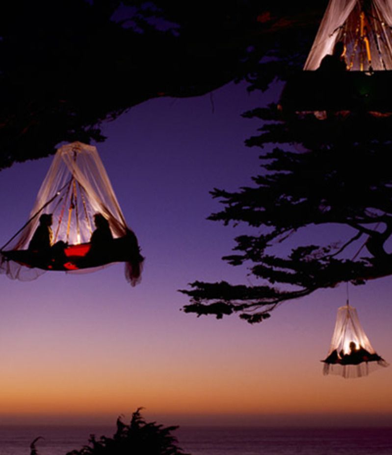 Tree camping in Elk, California, USA. Im not really sure how this works but that is just cool!