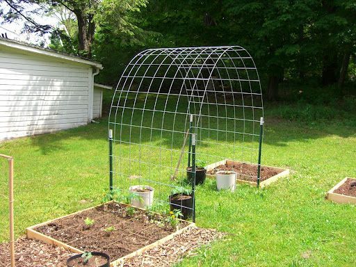 what a good idea.  your own inexpensive vine trellis.  would look cute in a corner of your yard with a bird bath underneath