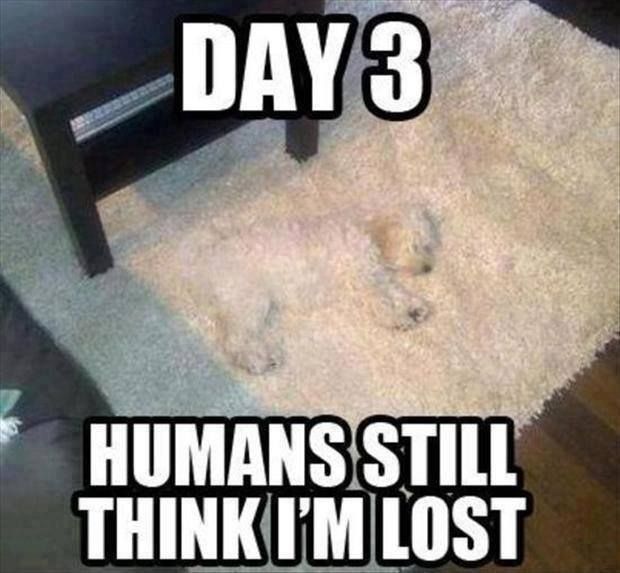 wheres the dog?…hahaha that would be like my buffy!