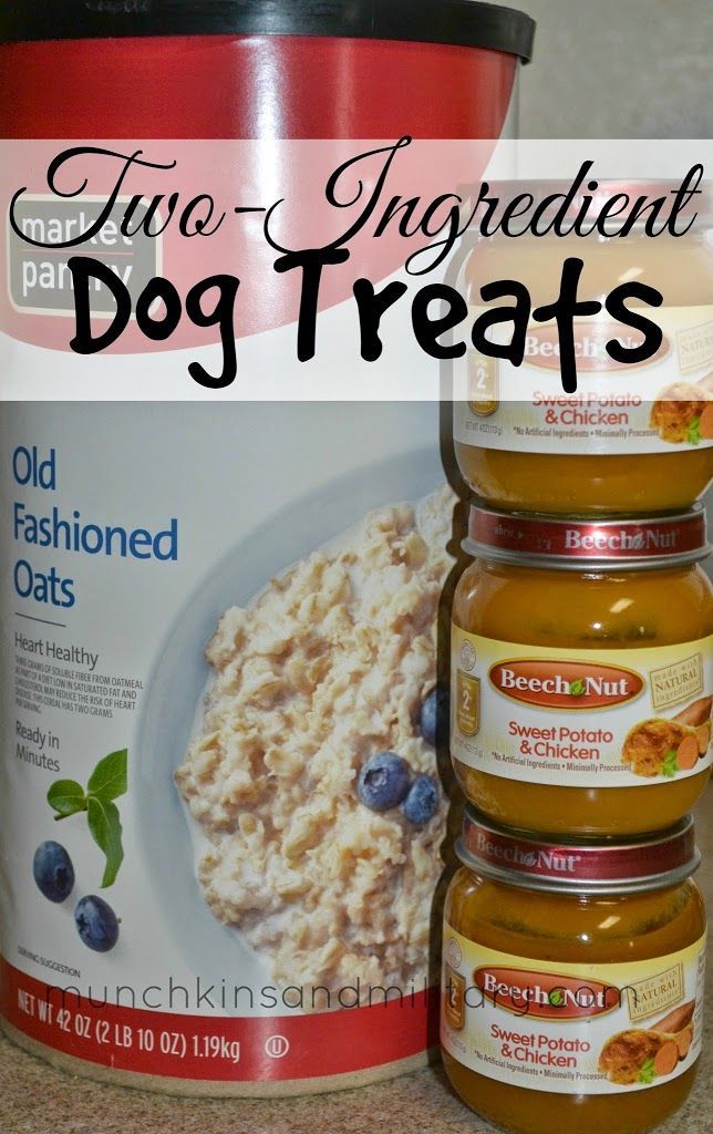 An easy homemade dog treat recipe made with ingredients that you may already have in your home.