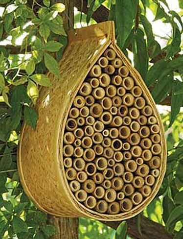 Be sure your garden is properly pollinated by welcoming bees with the Mason Bee House (these bees dont sting but pollinate like
