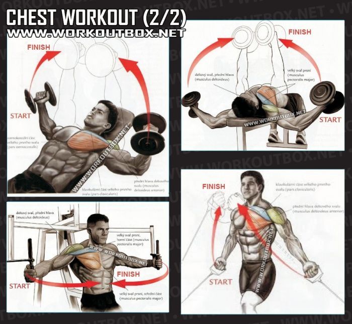 Chest Workout Part 2 – Healthy Fitness Exercises Gym Low Tricep – Yeah We Train !