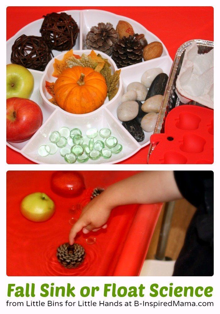Fall Sink or Float Preschool Science Activity [Contributed by Little Bins for Little Hands]