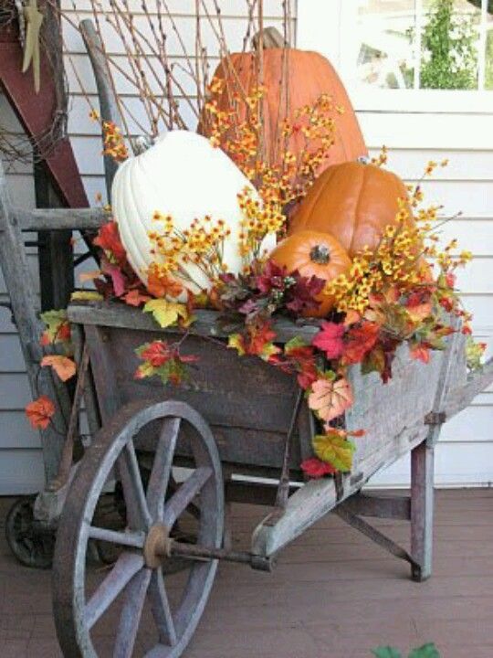 Good idea.  Even a newer wheel barrel would do or a childs wagon.