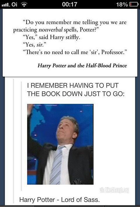 Harry Potter – Lord of Sass