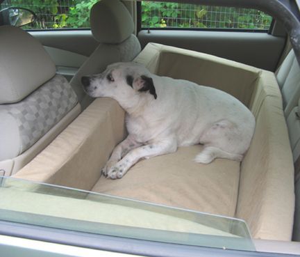 if I were a dog, I would totally want this. Hell, I could enjoy that for sleeping during road trips.