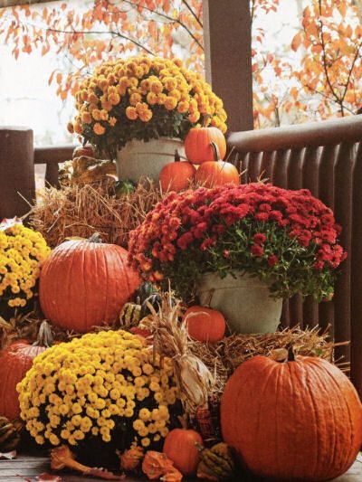 Lovely fall vignette with bales of hay, potted mums, pumpkins and gourds