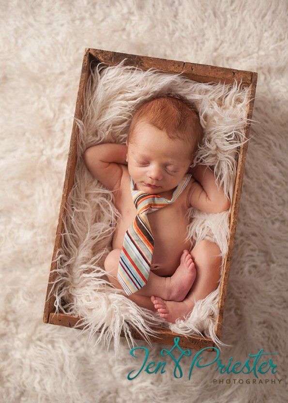 Lovely newborn session from Jen Priester Photography!