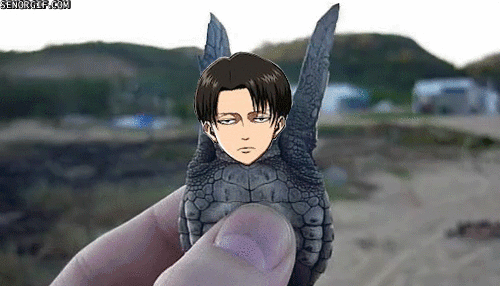 OMG Levi what happened with you XD