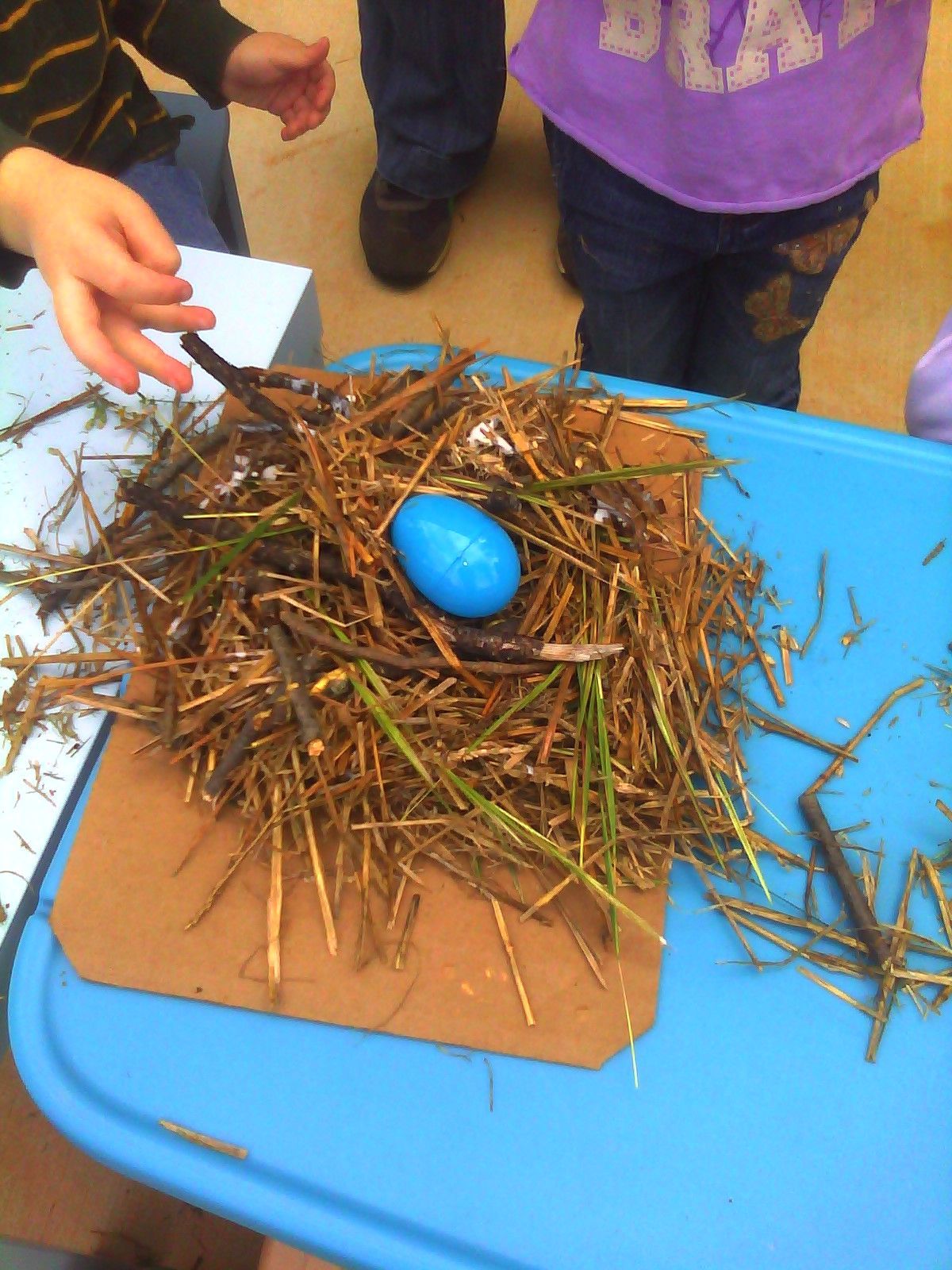 Preschoolers building a nest while learning about birds