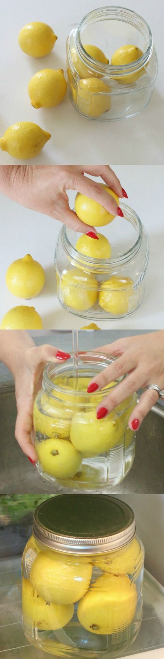 Stop keeping your lemons on your counter top, in the pantry, or in a bag in your fridge. There is a better way! Click through to
