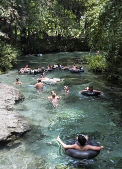 Swimmers cool off at Rock Springs at Kelly Park in Apopka, Fl