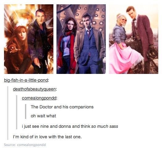The Doctor and his companions ~ I have to agree about Donna and 9
