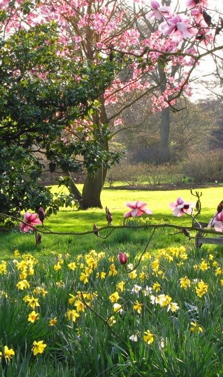 The essence of spring! Beautiful shot of Londons Kew Gardens. | Via Flickr, photo credit Laura Nolte