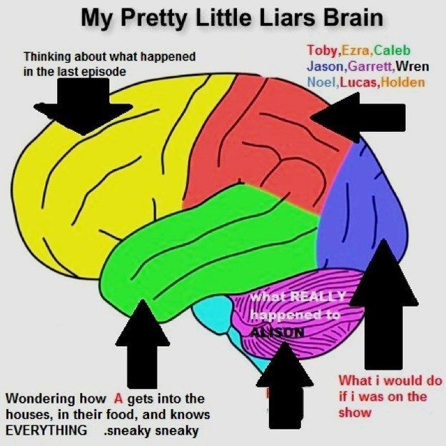 This drawing of a PLL brain: | 21 Things Youll Only Find Funny If You Watch “Pretty Little Liars”