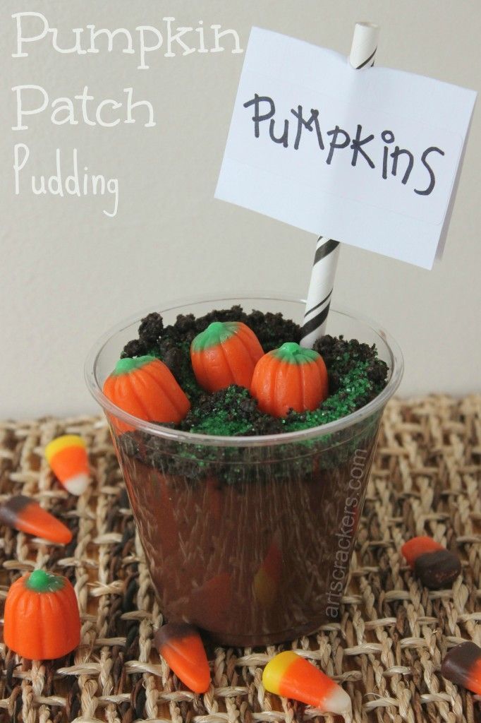 This is such a great idea for a fall diy snack! It makes me want to head over and pick myself up a pumpkin!