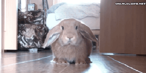 When you forgot you were cooking and you smell something burning. | 21 Bunny Reactions For Everyday Situations