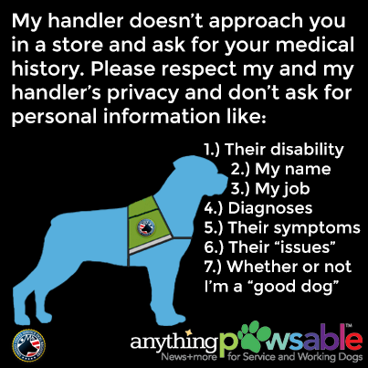 10 Things Service Dog Handlers Want You to Know | Anything PawsableAnything Pawsable