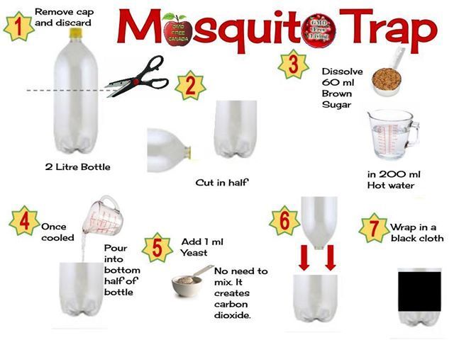 2 Liter Bottle Mosquito Trap | Thread: Homemade midget/mosquito trap