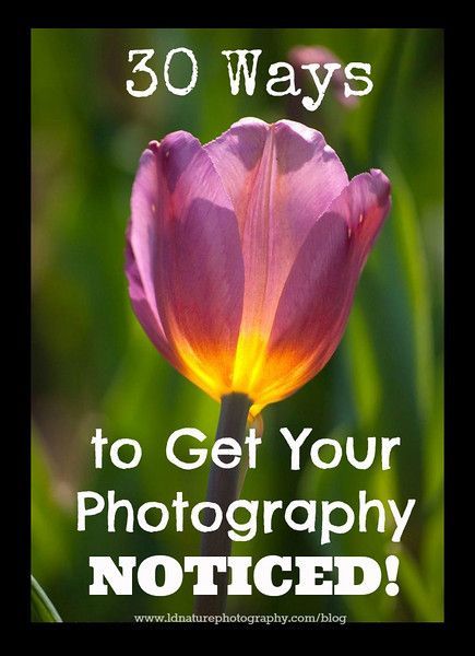 30 Ways to Get Your Photography Noticed (revisited!). Includes four bonus ideas! This list is not only for photographers, it can