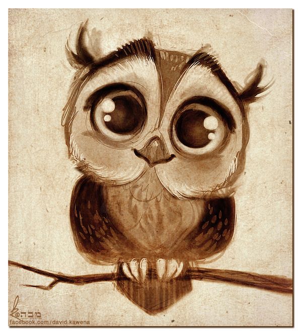 Adorable Owl Drawing