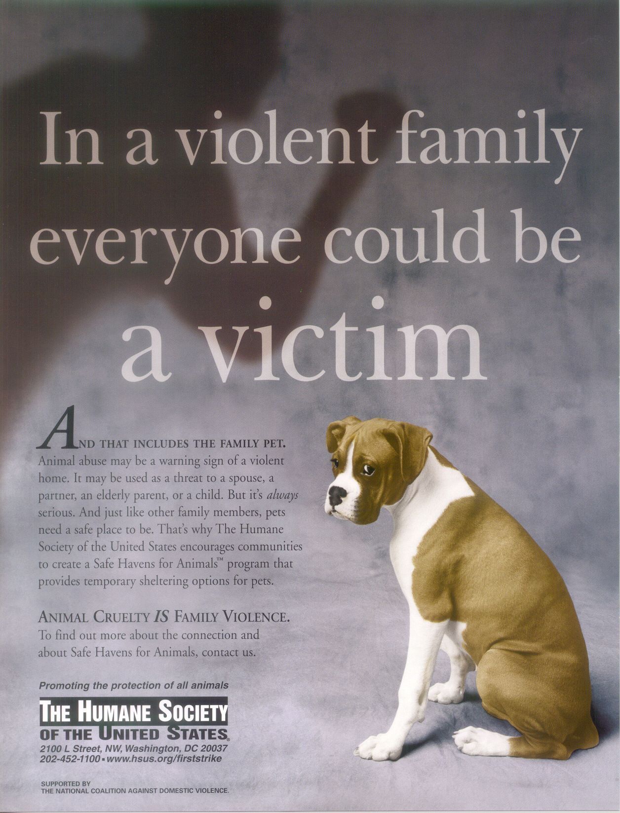 Animal abuse against animal cruelty -   Animal abuse.