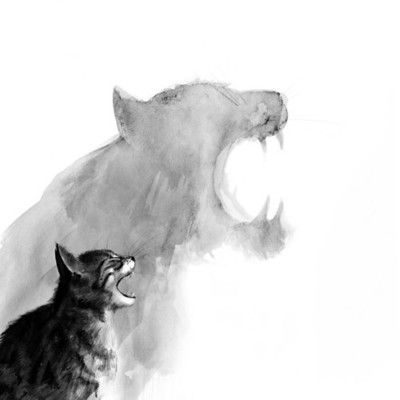 Cat art:  shadows of wild self