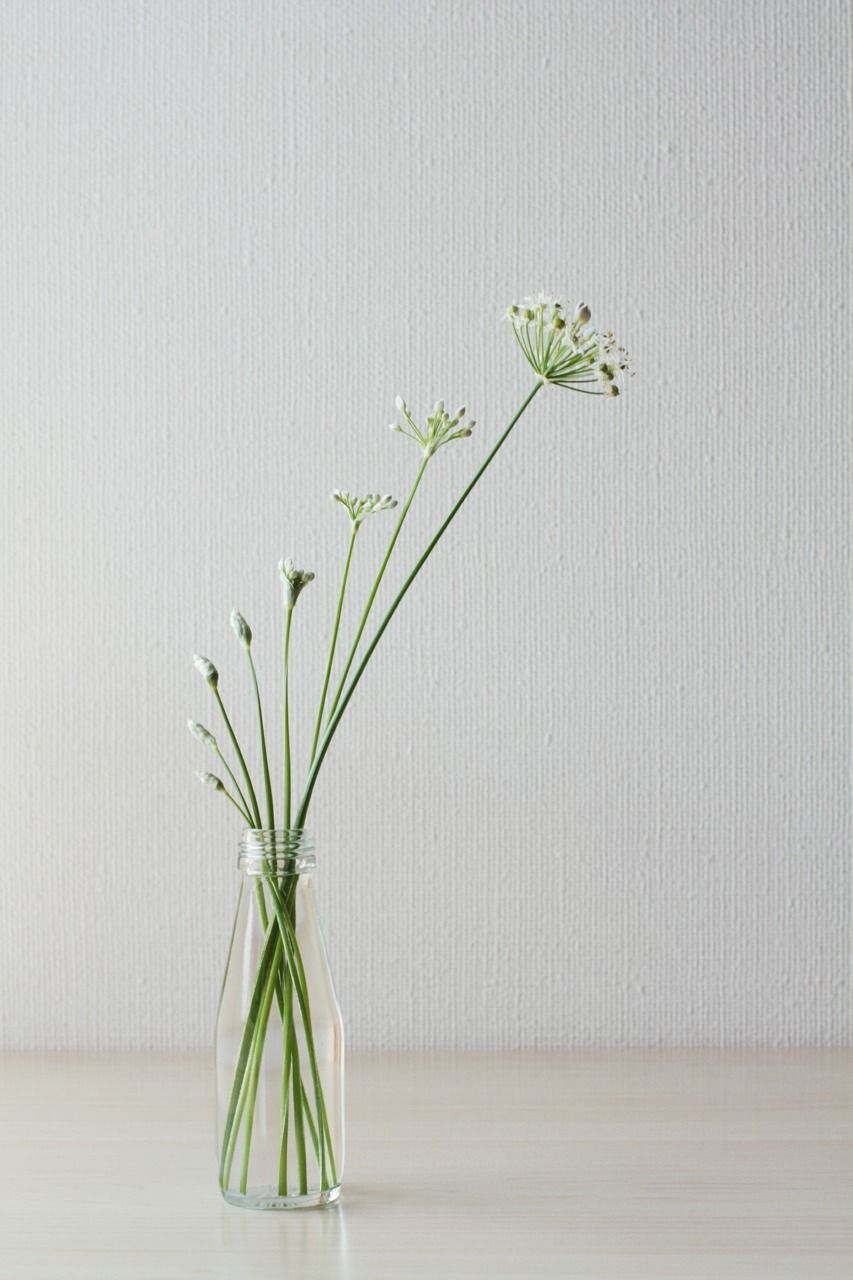 Easy peasy! 24 elegantly simple floral arrangements