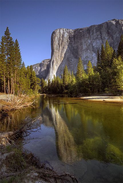 El Capitan Reflection, Yosemite National Park