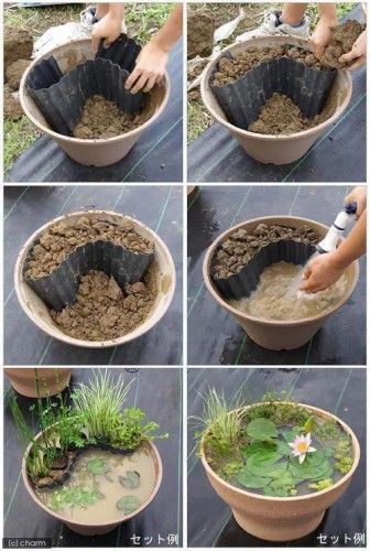 How to make a miniature pond in a pot