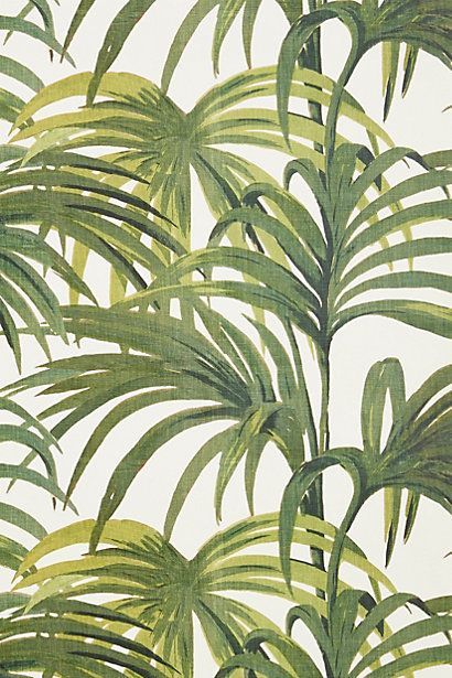 I like the tropical fronds motif as an alternative decoration wise. I could do a few different panels along the walls of my living