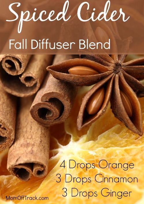 Looking to bring Fall inside and spice up your diffuser with some new essential oils blends? I have some great Fall diffuser