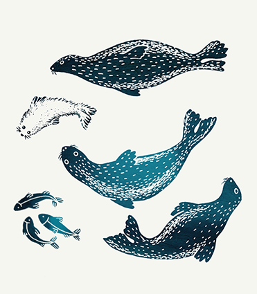 Nol Nature Enchante – Seals, baby seals and fishes – Black  petrol blue ink – illustration by Amandine Delaunay // Halley des
