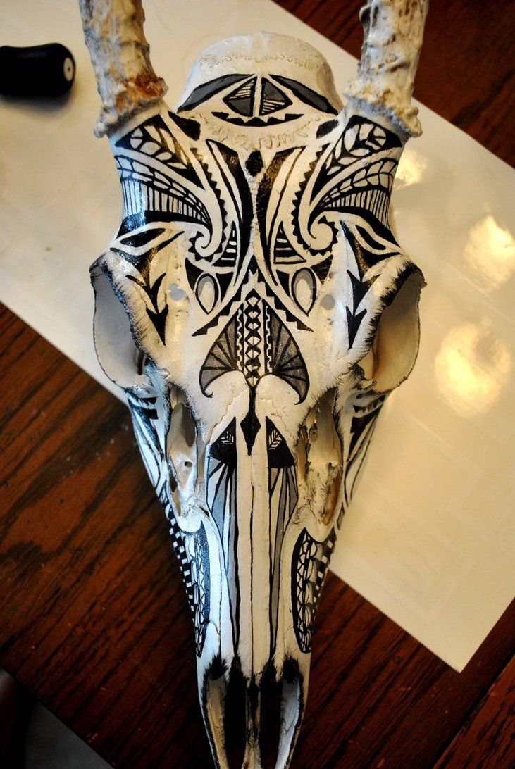 painted animal skull, I think I might start doing this.