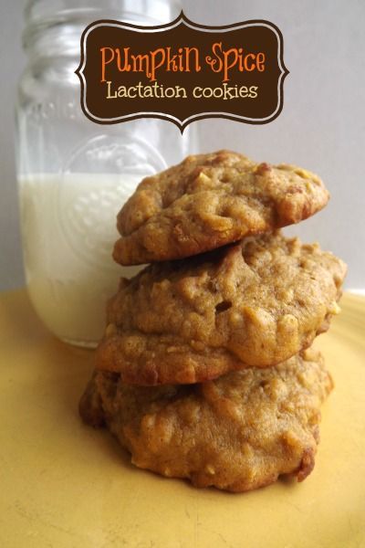Pumpkin Spice Lactation Cookies recipe with whole oats, brewer’s yeast, and flax meal to provide your body needed nutrients to