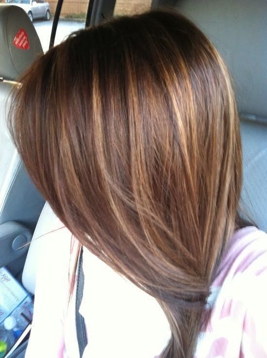 Medium Dark Brown Hair with Caramel Highlights -   Hair with caramel highlights