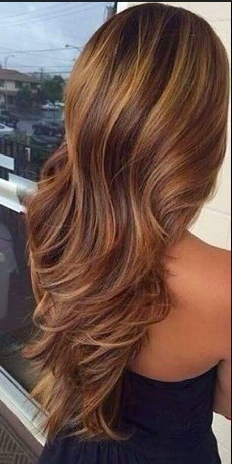 Dark Brown Hair with Caramel Highlights -   Hair with caramel highlights