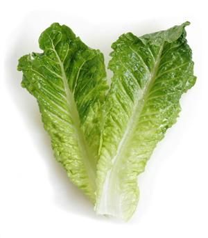 Romaine lettuce is a fantastic leafy green that is high in protein and contains all 8 of the essential amino acids. Romaine is