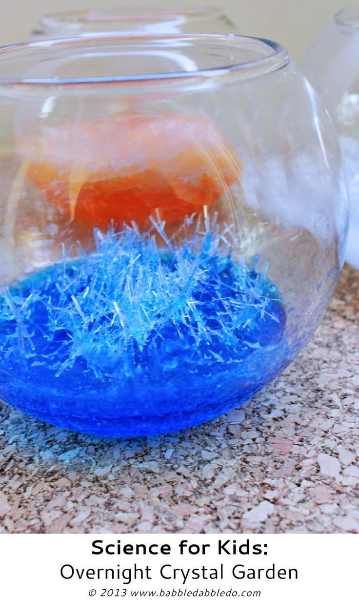 Science for Kids: Overnight Crystal Garden – Babble Dabble Do (uses epsom salts)