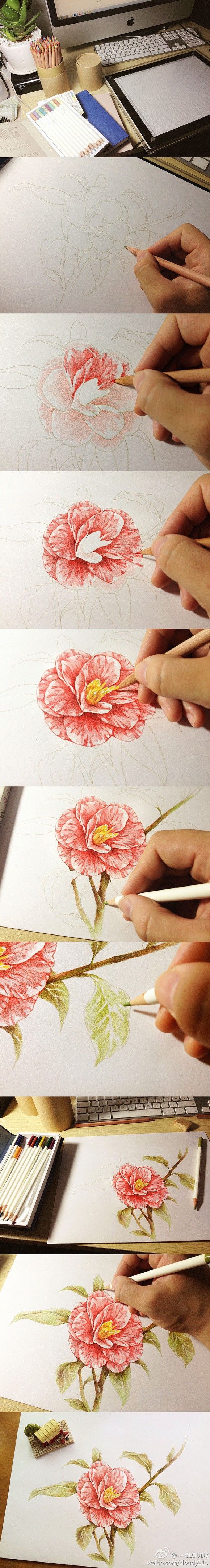 Steps to colour a flower