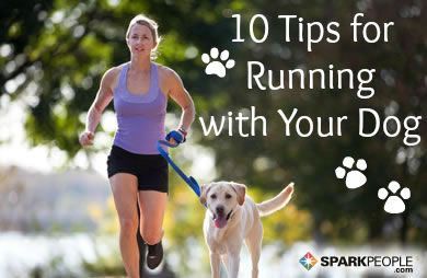 Studies have shown that running or walking with your dog can be a huge motivator when it comes to exercise, but there are some
