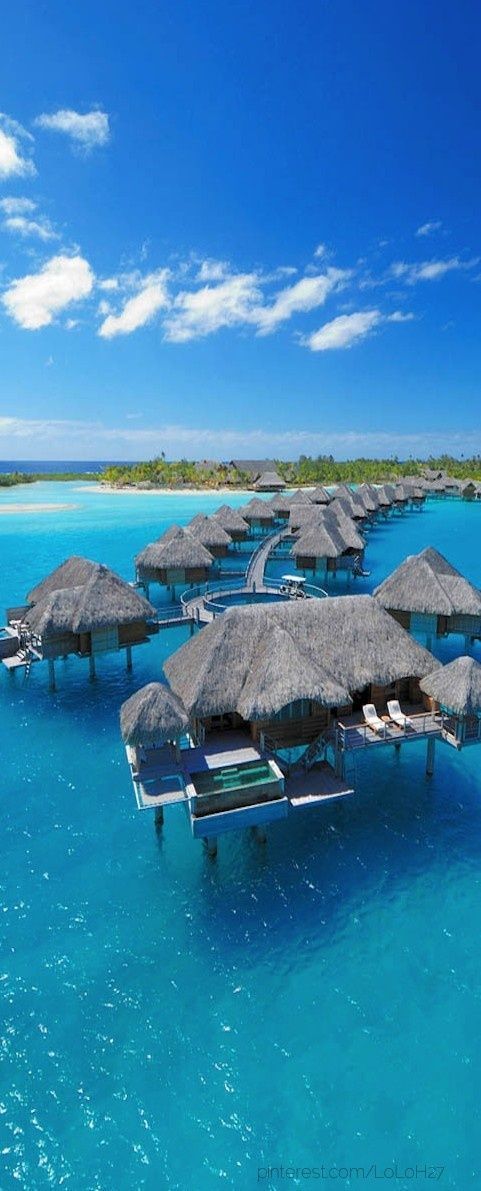 The Infinite Gallery : Bora Bora Resort & Vacation | Four Seasons Resort Bora Bora. DREAM Vacation!