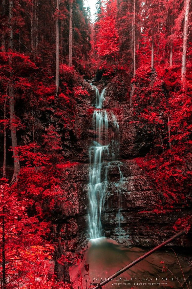 Waterfall and blazing red autumn forest, Austria, by Norbi Bed