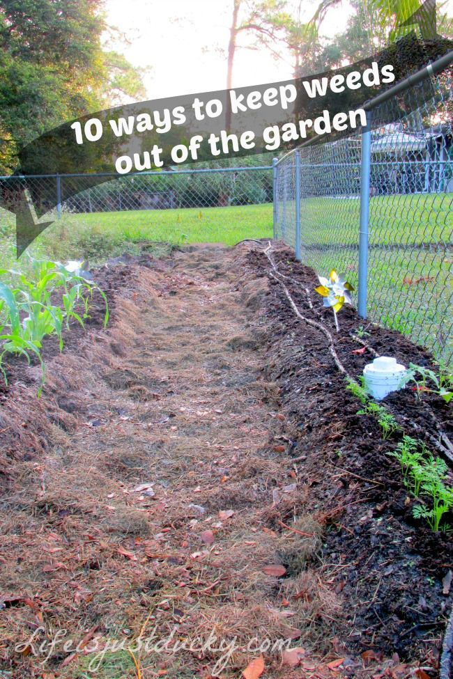 10 Ways To Keep Weeds Out Of Your Garden – Who has time to pull weeds? Not Me! Learn how to keep weeds out!