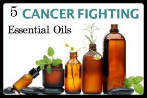 5 Herbal Essential Oils That Are Proven to Kill Cancer Cells