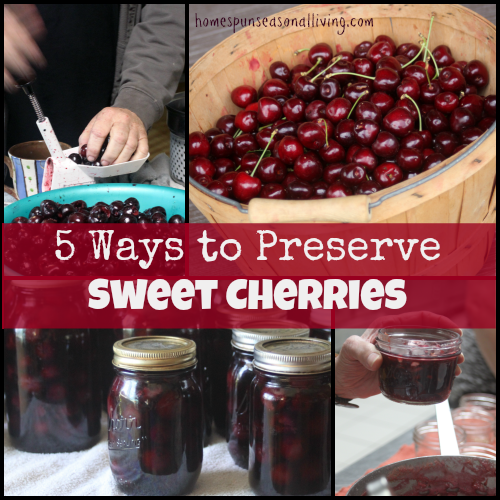 5 Ways to Preserve Sweet Cherries – Homespun Seasonal Living Love the first method idea, not one you see a lot of.
